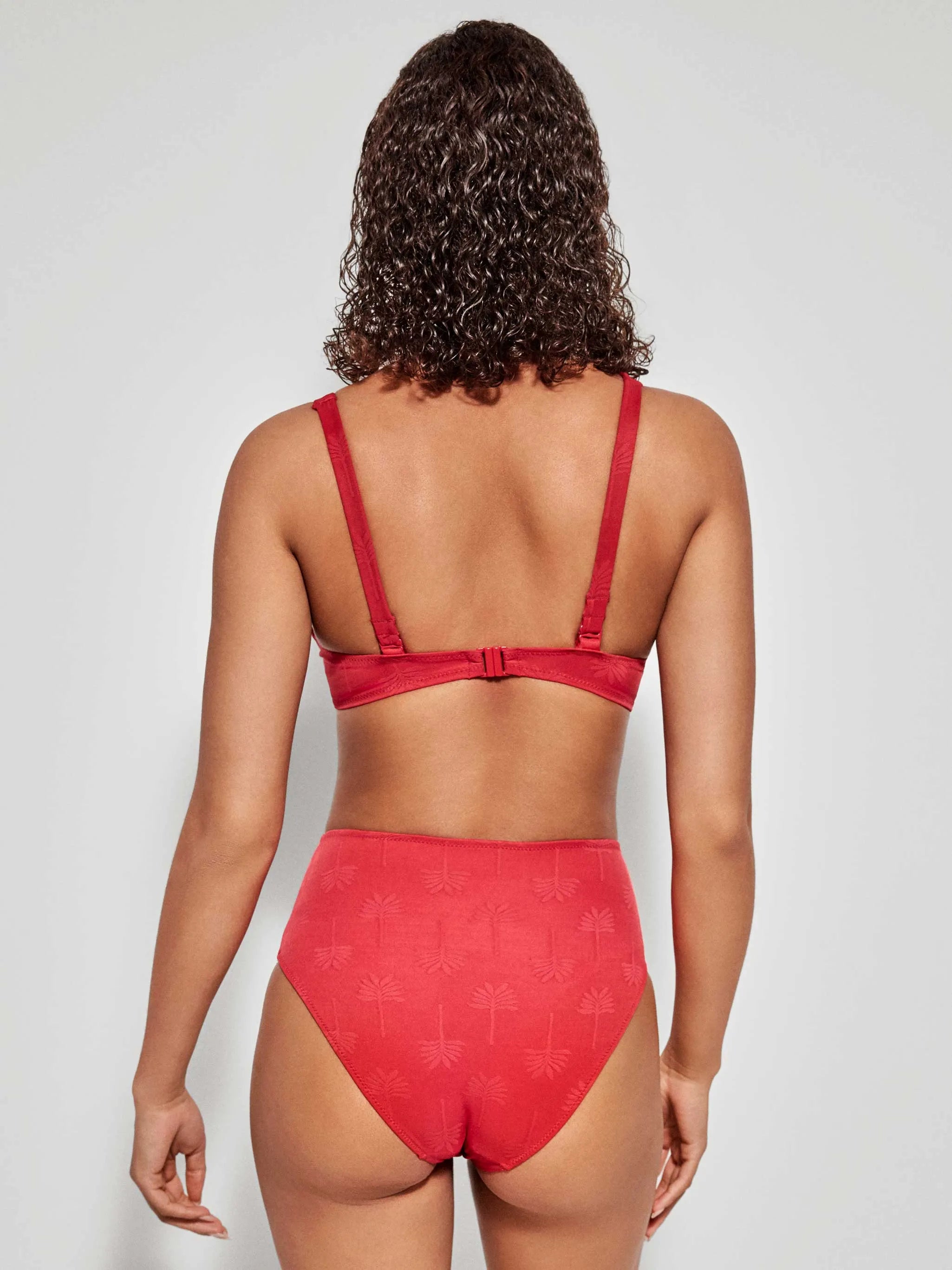 #Color_ROJO