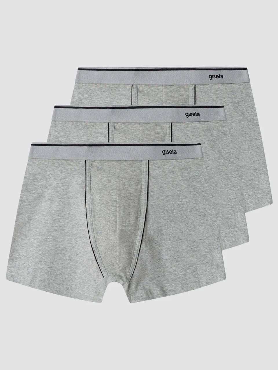 #Color_GRIS VIGORÉ