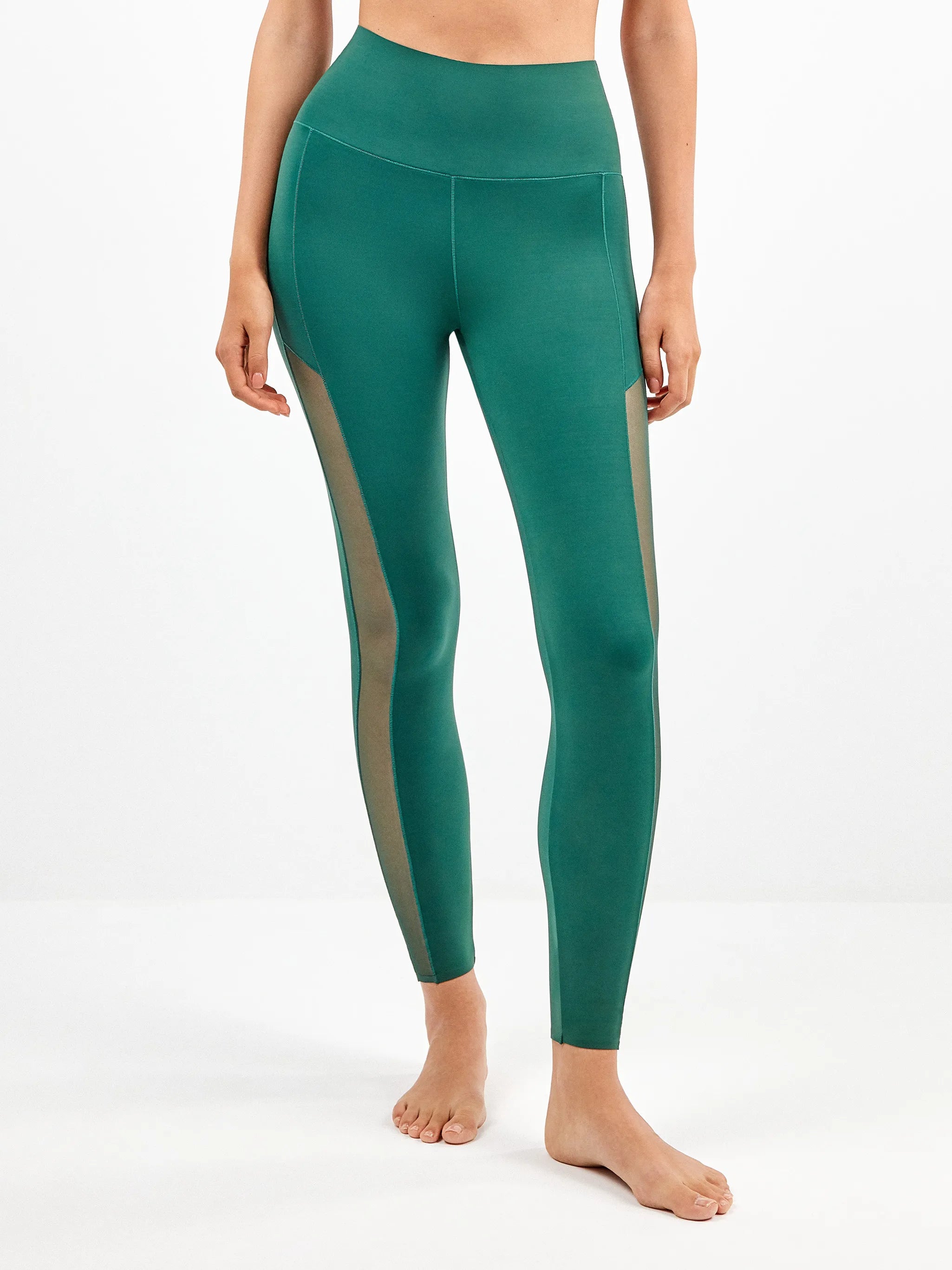 #Color_VERDE